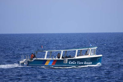 Roatan dive boat